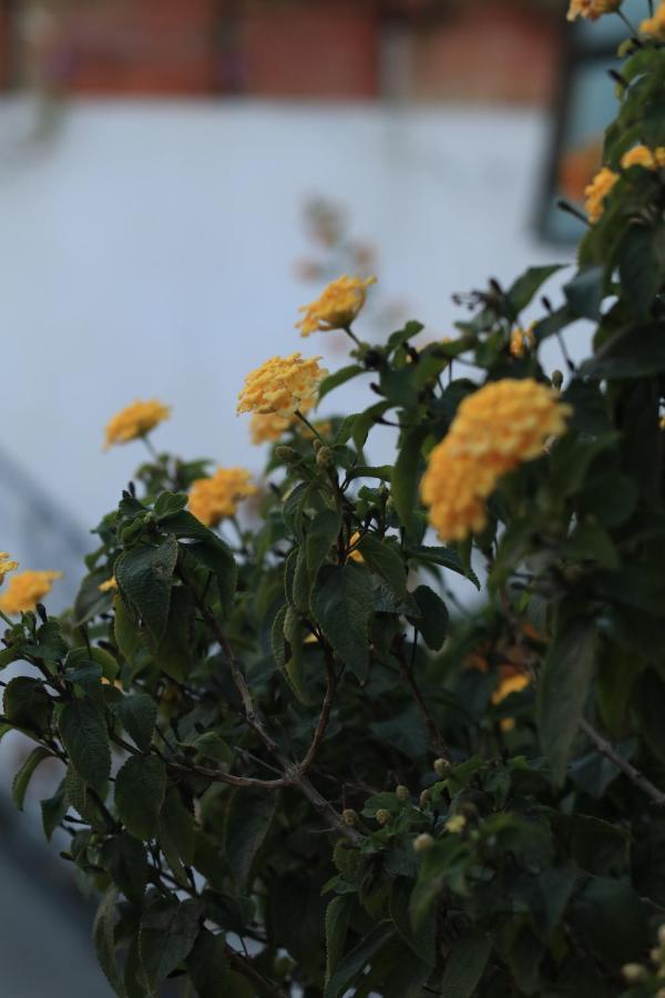 Rabat Sale Riad ภายนอก รูปภาพ
